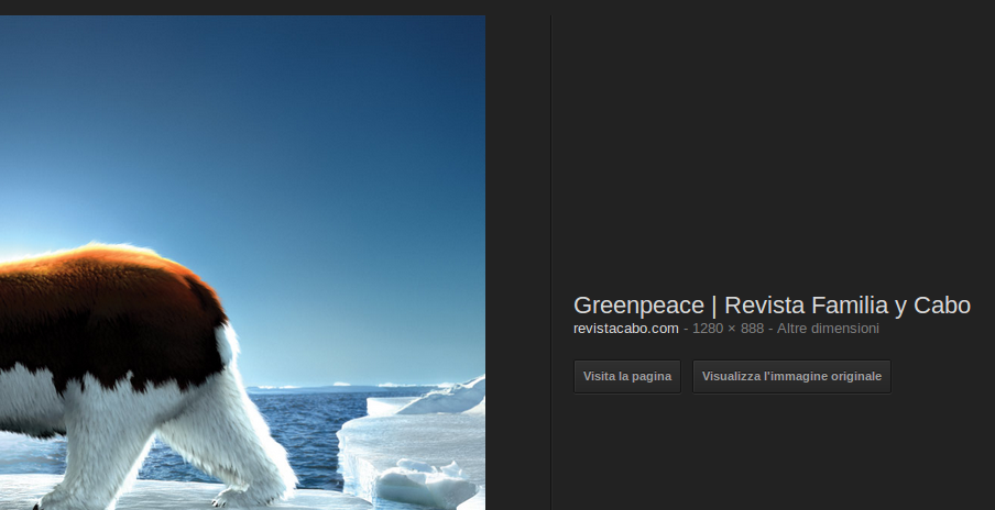 Nuovo layout Google Images (Gennaio 2013). Dettaglio dell'interfaccia